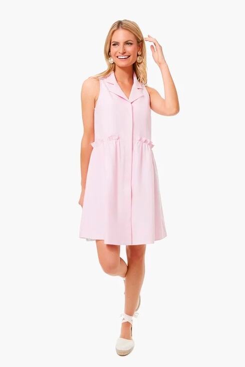 Tuckernuck Dresses & Skirts - Tuckernuck Pink Oxford Sleeveless Royal Shirt Dress Size M NWT